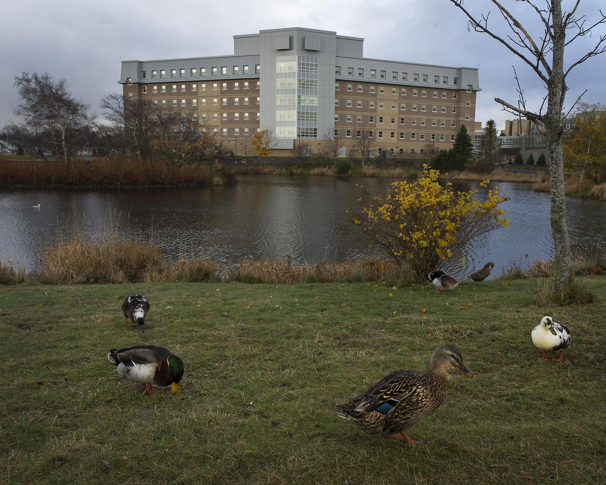 Memorial University セントジョンズ エクステリア 写真